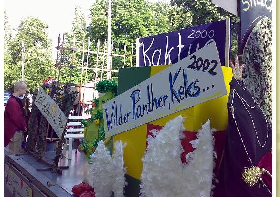 stadtfestumzug2008-9