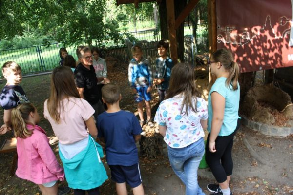 2019-08-14 Ritteressen (12)