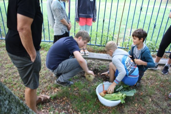 2019-08-14 Ritteressen (6)