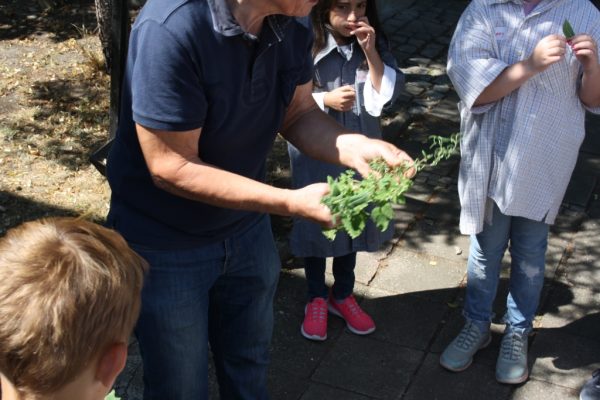 2019-07-10 Ritteressen (19)