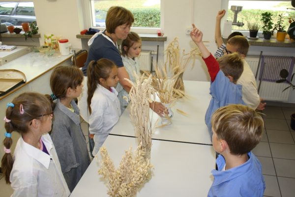 2019-09-18 Vom Korn zum Brot Glesien 3a (1a)
