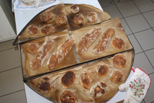 2019-09-18 Vom Korn zum Brot Glesien 3a (22)