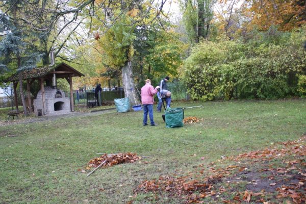 2019-11-09 Herbstputz (2)