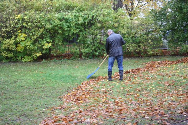 2019-11-09 Herbstputz (4)