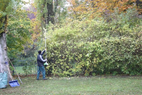 2019-11-09 Herbstputz (6)