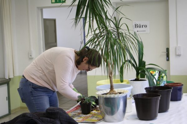 2019-11-09 Herbstputz (7)