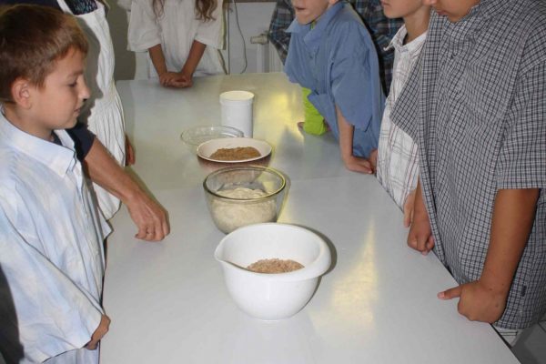 2020-09-22 Vom Korn zum Brot SHS 3f (10)-1