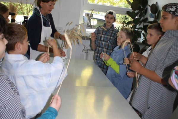 2020-09-22 Vom Korn zum Brot SHS 3f (3)-1