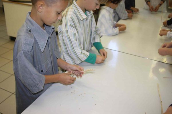 2020-09-28 Vom Korn zum Brot Leibniz-GS 3a (19)