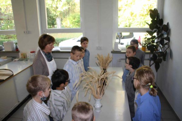 2020-09-30 Vom Korn zum Brot SHS 3c (1)