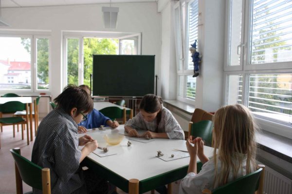 2020-09-30 Vom Korn zum Brot SHS 3c (20)