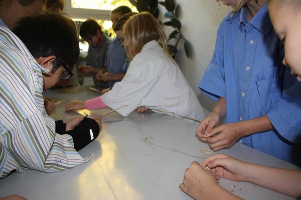 2020-09-30 Vom Korn zum Brot SHS 3c (4)