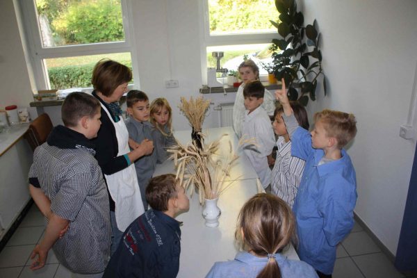 2020-10-01 Vom Korn zum Brot Leibniz-GS 3c (1)