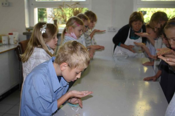 2020-10-01 Vom Korn zum Brot Leibniz-GS 3c (15)