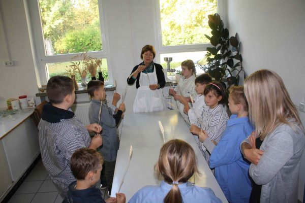 2020-10-01 Vom Korn zum Brot Leibniz-GS 3c (3)