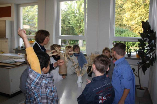 2020-10-07 Vom Korn zum Brot Leibniz-GS 3b (12)