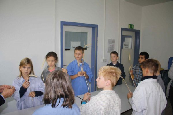 2020-10-07 Vom Korn zum Brot Leibniz-GS 3b (13)