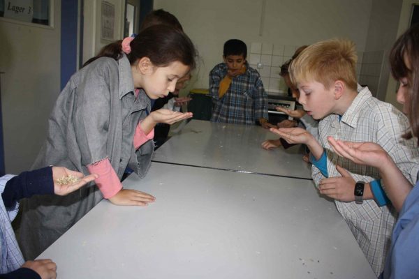 2020-10-07 Vom Korn zum Brot Leibniz-GS 3b (15)