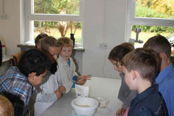 2020-10-07 Vom Korn zum Brot Leibniz-GS 3b (19)