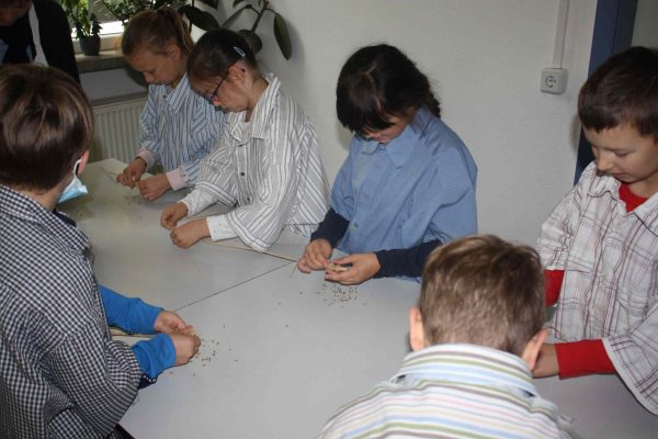 2020-10-07 Vom Korn zum Brot Leibniz-GS 3b (3)