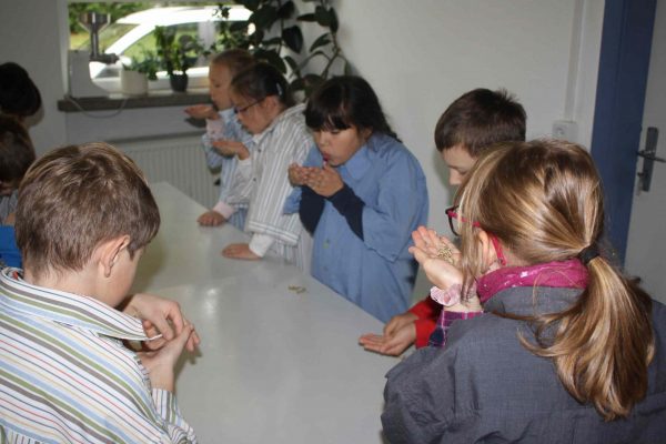 2020-10-07 Vom Korn zum Brot Leibniz-GS 3b (5)