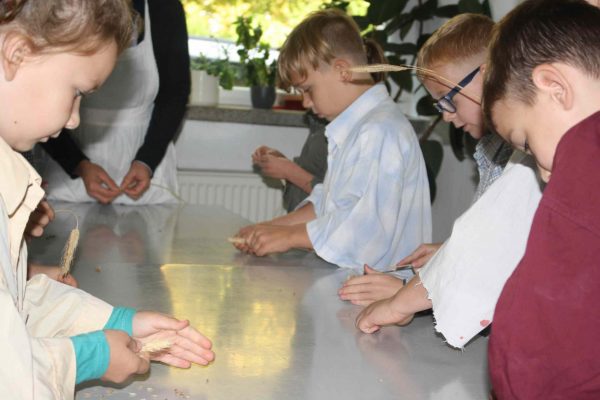 2020-10-08 Vom Korn zum Brot GS Wehlitz 3c (18)