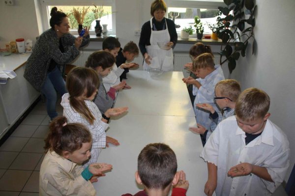 2020-10-08 Vom Korn zum Brot GS Wehlitz 3c (20)