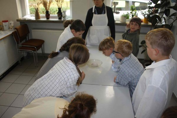 2020-10-08 Vom Korn zum Brot GS Wehlitz 3c (22)