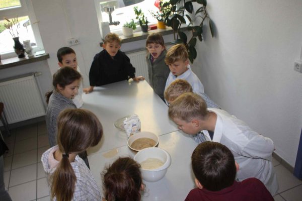 2020-10-08 Vom Korn zum Brot GS Wehlitz 3c (26)