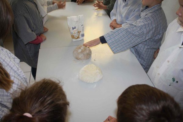 2020-10-08 Vom Korn zum Brot GS Wehlitz 3c (27)