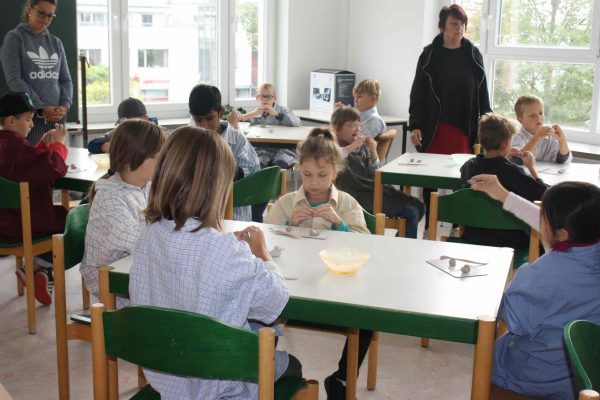 2020-10-08 Vom Korn zum Brot GS Wehlitz 3c (42)