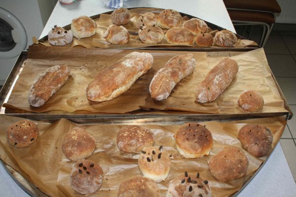 2020-10-08 Vom Korn zum Brot GS Wehlitz 3c (44)