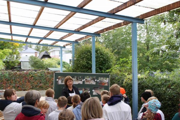 2020-10-12 Vom Korn zum Brot GS Wehlitz 3a (16)