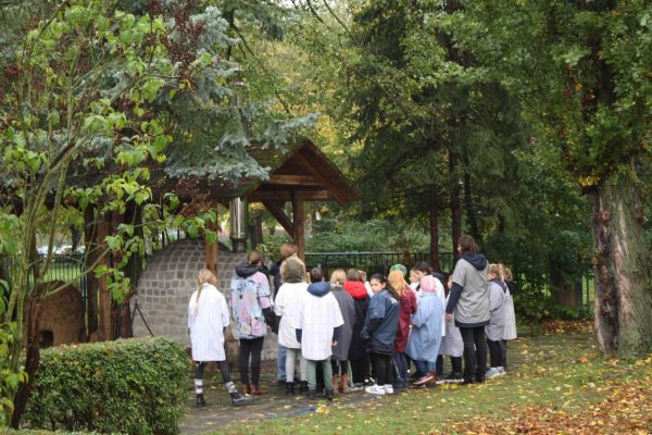 2020-10-15 Vom Korn zum Brot GS Wehlitz 3b (21)