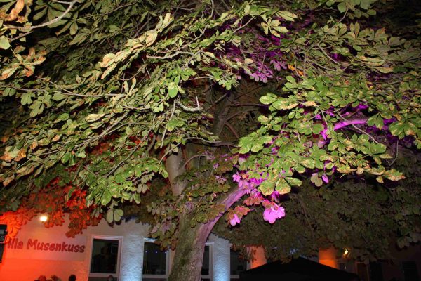 2021-09-18 Gartenkonzert DUO b (8)