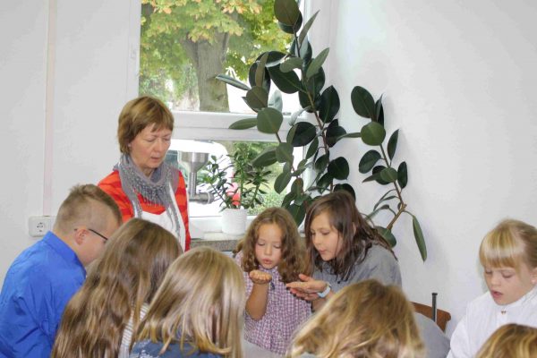 2021-09-22 Vom Korn zum Brot GS Wehlitz 3b (12)