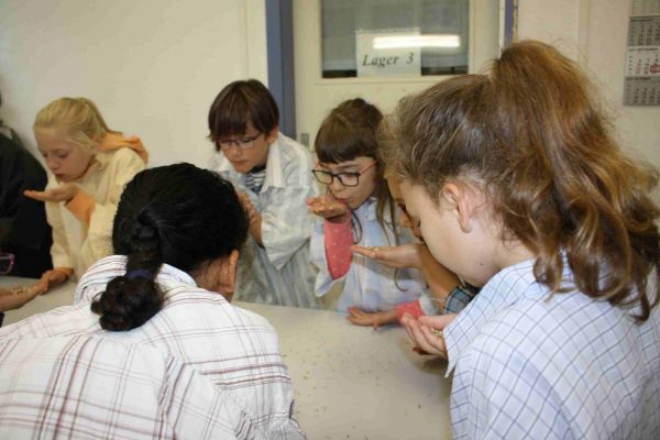 2021-09-22 Vom Korn zum Brot GS Wehlitz 3b (3)