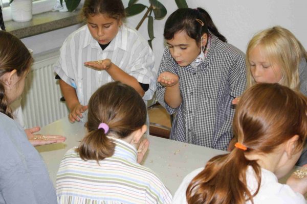 2021-09-23 Schule Am Leutzscher Holz 3c (7)