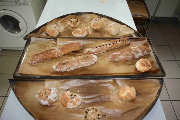 2021-09-28 Vom Korn zum Brot SHS 3c (25)