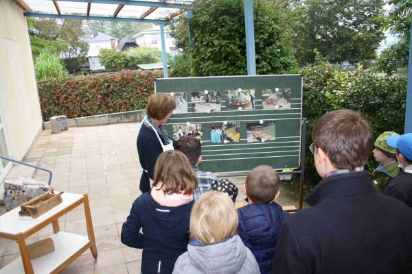 2021-10-05 Vom Korn zum Brot SHS 3e (10)