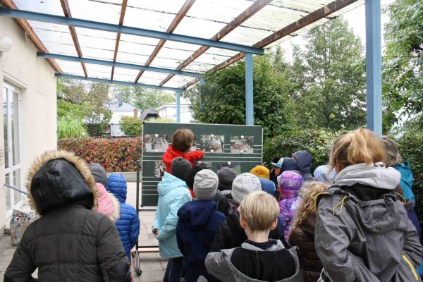 2021-10-12 Vom Korn zum Brot Leibniz 3a (14)