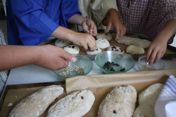 Vom Korn zum Brot, GS Dölzig 26
